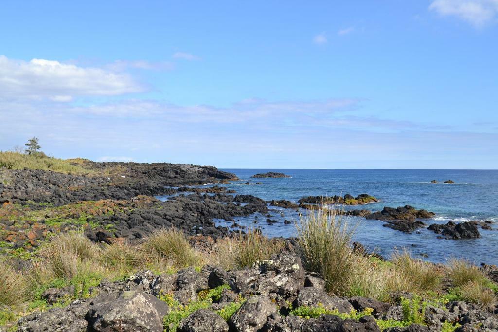 Friends'House - Azores Lagoa  Bagian luar foto